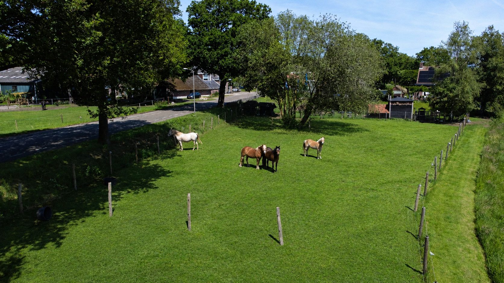 De wei van Het Plofdelhuus met de paarden, van bovenaf